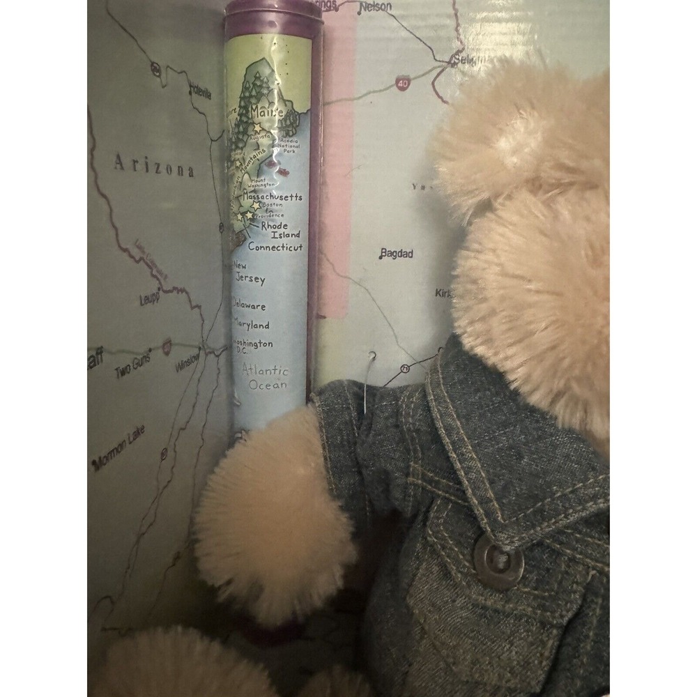 Gund Plush Everywhere Bear Travel Set RARE Kids Teddy Bear Passport Map‎ Etc - Picture 4 of 15